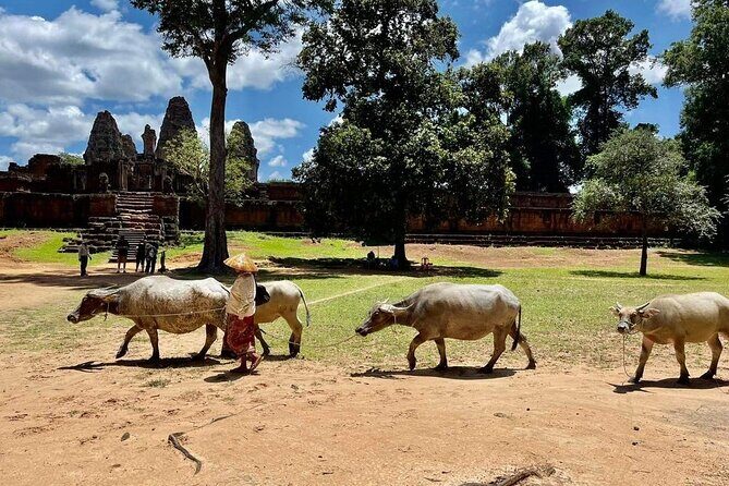 Full-Day 'Big Tour' with Sunset at Phnom Bakheng - Pre Rup: The First Temple Stop That Sets the Tone
