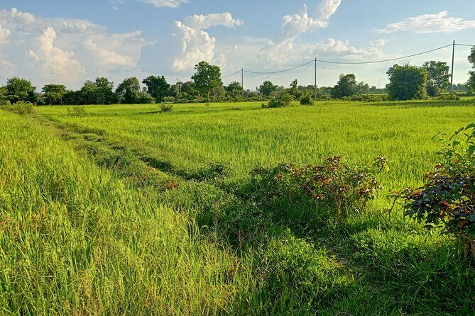 Full Day tour .City tour.Countryside.Bamboo Train.Secret Bat Cave - Battambang city stop: French architecture with story attached