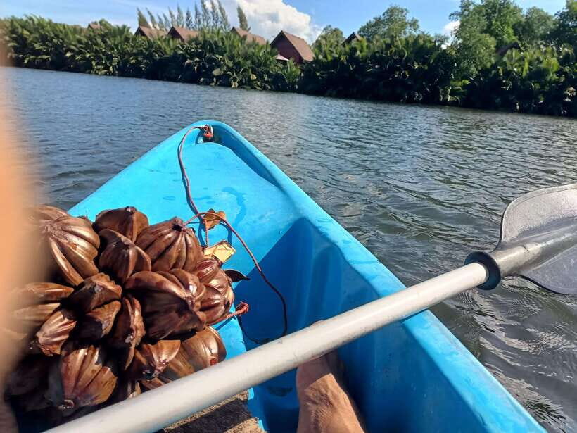 Green Cathedral Kayaking Journey & Reflection River View - What to bring (so the river doesn’t win)