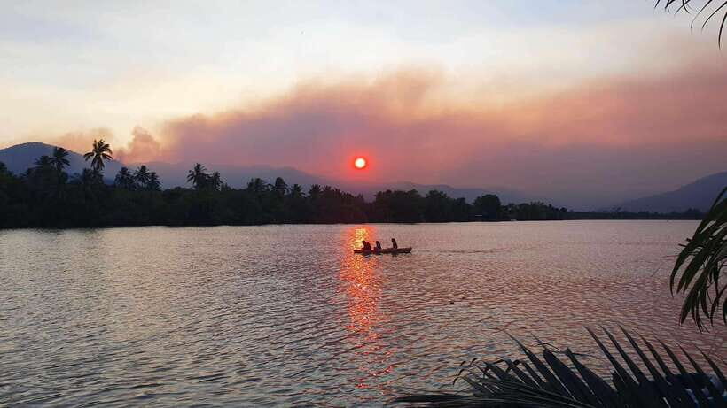 Green Cathedral Kayaking Journey & Reflection River View - Entering the Green Cathedral, Kampot’s river loop magic