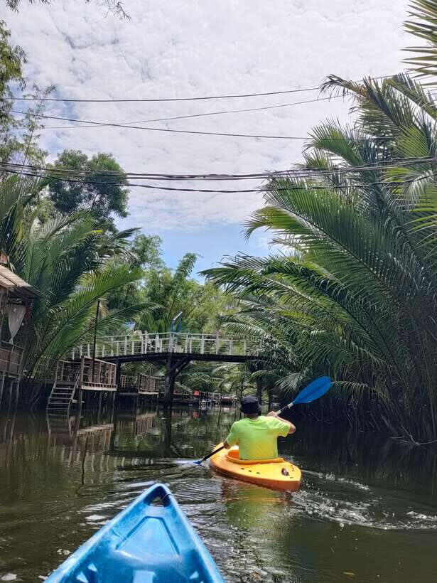 Green Cathedral Kayaking Journey & Reflection River View - Nipa palm corridors: what you actually see from the water
