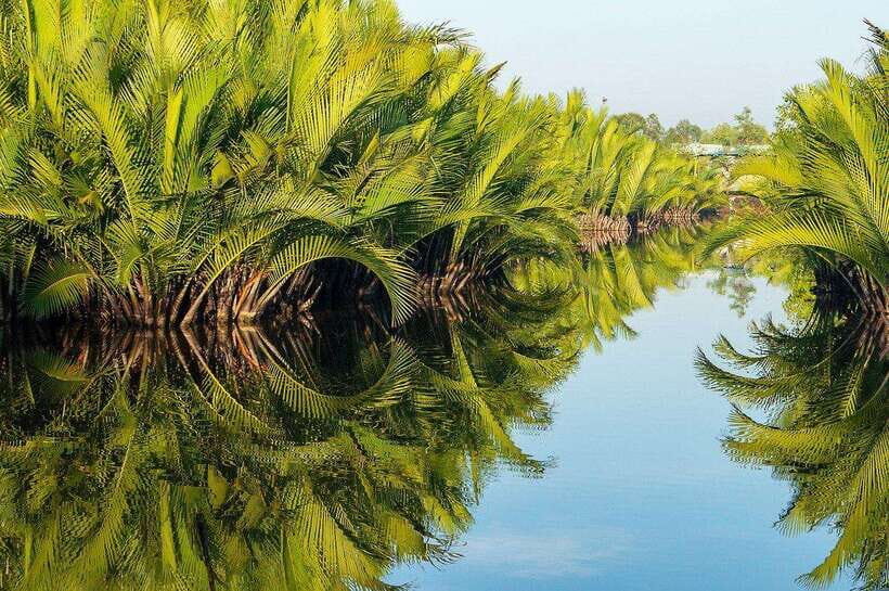Green Cathedral Kayaking Journey & Reflection River View - Sunset at 3:30pm: the payoff, plus the one caveat