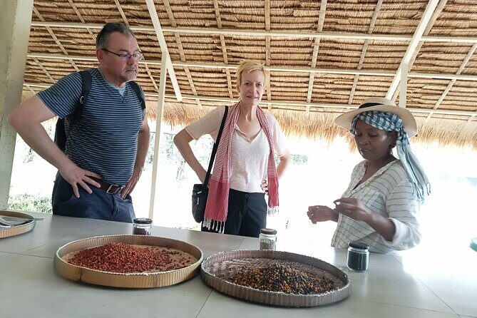Kampot/Cambodia pepper farm . Cave. lake. Kep Crab market & more. - Stop 3: La Plantation Fair Spices visit for real spice context