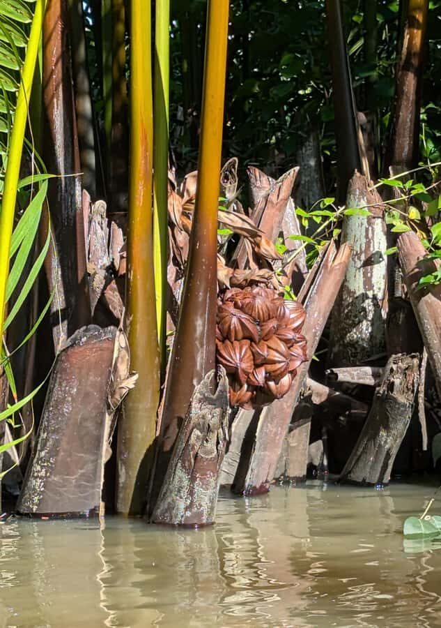 Kampot: Countryside, Pepper Farm and Kayak Tour with Lunch - Secret Lake: The Rest Stop That Helps You Enjoy the Rest of the Day