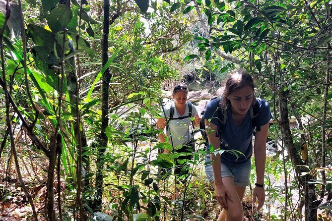 Kampot Day Tour "Bokor National Park" - Stop 4: Wat Sampov Pram and the hilltop temple vibe