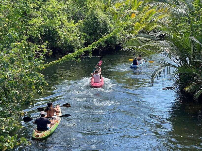 Kayaking tour around green cathedral - What Makes This Kampot Kayak Tour Special: Green Cathedral + Sunset