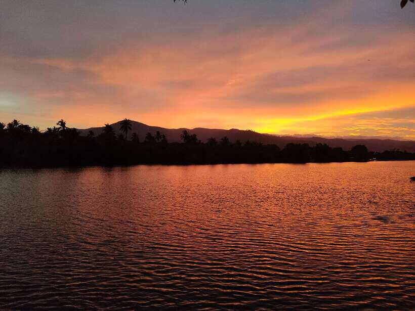Kayaking tour around green cathedral - Swim Time and Sunset Beer: The Calm Part You’ll Remember