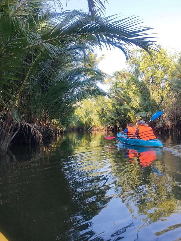 Kayaking tour around green cathedral - Price and Value: Why $25 Can Feel Like a Good Deal Here
