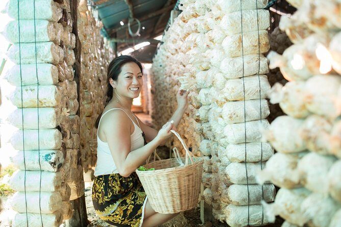 Khmer Cooking Class at a Local's Home in Krong Siem Reap - Garden and optional farm stops: fresh food context
