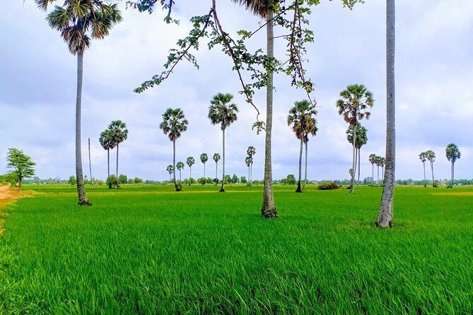 Killing Field & Paddy Rice Fields Tuk Tuk Adventure - Phnom Penh to Countryside: bikes, boats, and tuk-tuk legs