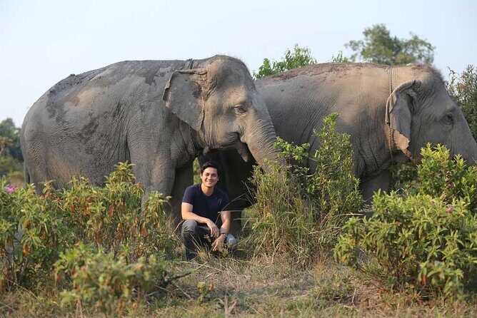 Kulen Elephant Forest & Kampong Phluk by Private Tour - From Siem Reap to Phnom Kulen: what the day feels like
