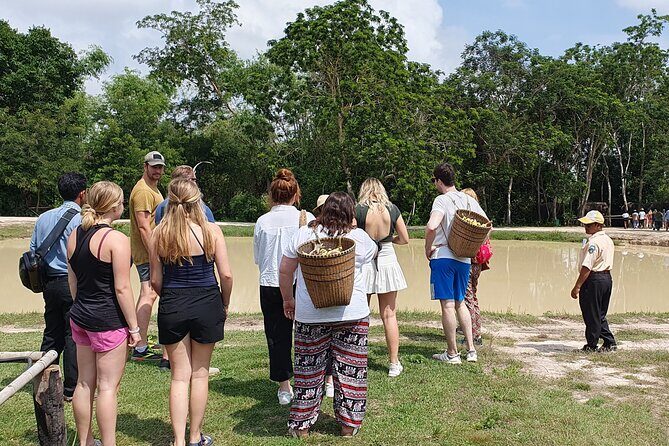 Kulen Elephant Forest & Kampong Phluk by Private Tour - Lunch at the elephant camp: a welcome break that’s built in