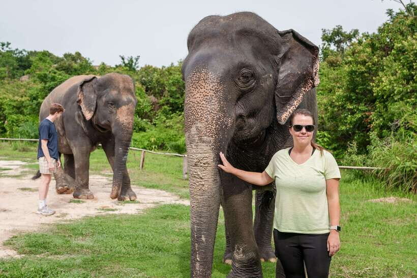 Kulen Elephant Forest Tour with Hotel Pick-up & Drop off - Key Things I’d Book This For