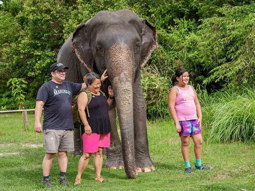 Kulen Elephant Forest Tour with Hotel Pick-up & Drop off - Water time and hosing down: why this is often the emotional highlight