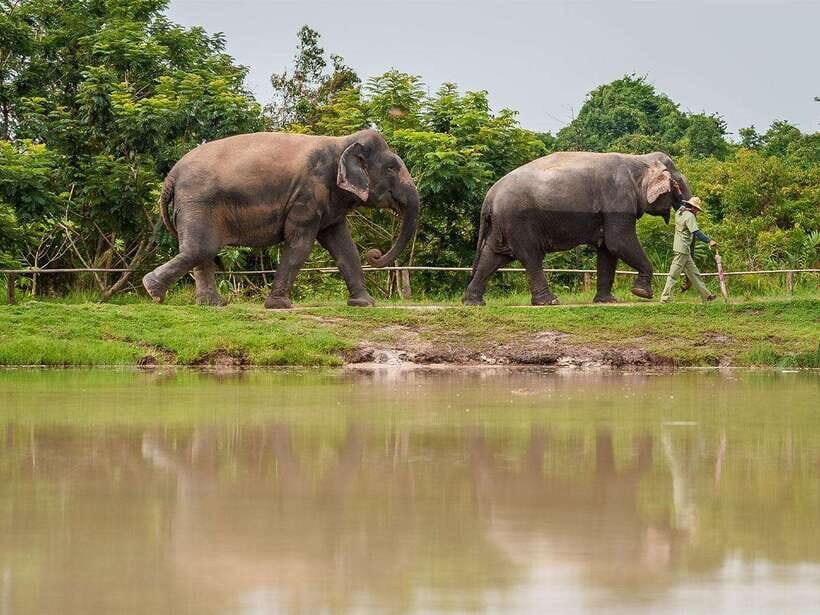 Kulen Elephant Forest Tour with Hotel Pick-up & Drop off - Quick checklist before you go