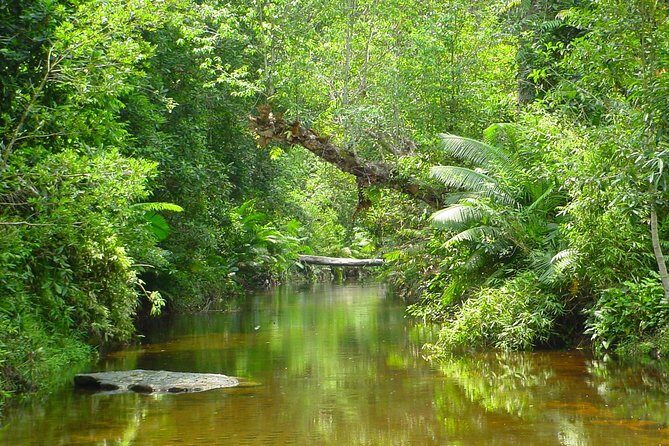 Kulen Waterfall and 1000 Lingas River Private Tour - Who should book this Kulen Waterfall and 1000 Lingas private tour
