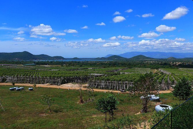 La Plantation tour (discovering Kampot Pepper) + Lunch - Pepper and spice tasting: how to turn a sample into a meal