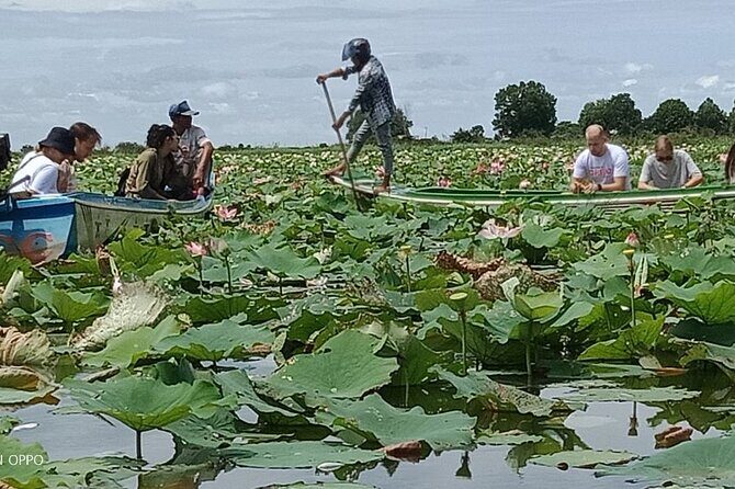 Lotus Silk Farm: Discover Learn and Experiment the Lotus Flower - Meeting at Lotus Silk Farm and Starting with Lotus Tea