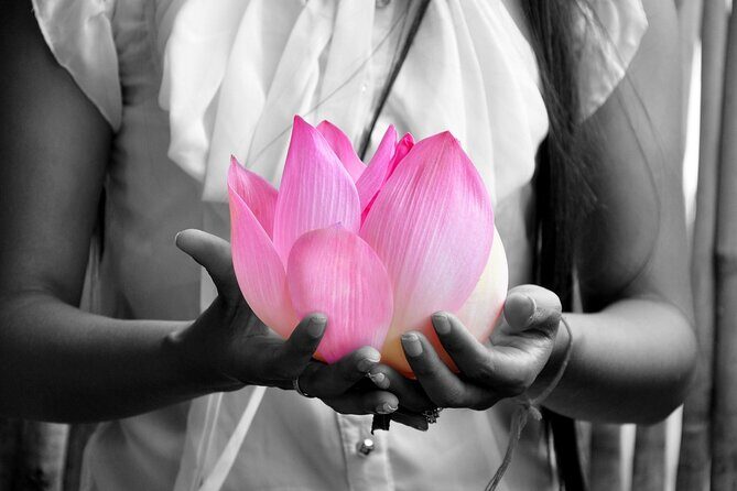 Lotus Silk Farm: Discover Learn and Experiment the Lotus Flower - Six Lotus Craft Workshops You’ll Actually Use at Home