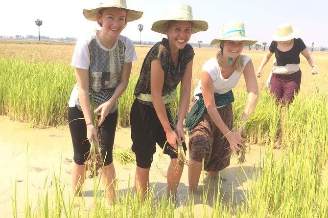 NhumBai, The Village Experience - A Quiet Day in the Cambodian Countryside Near Siem Reap