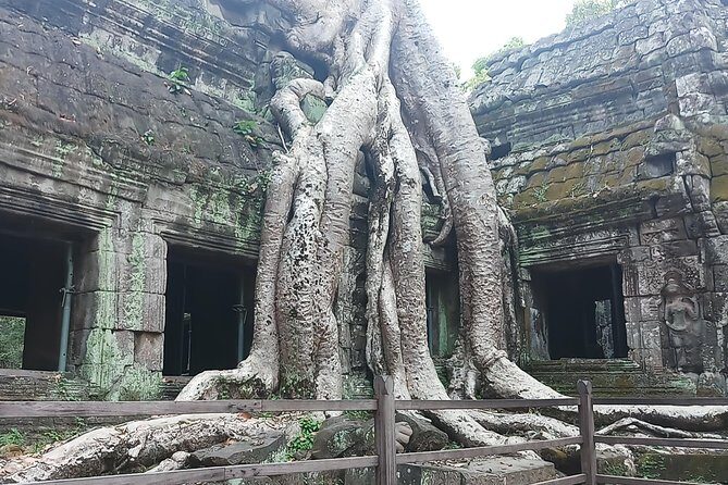 One day Angkor temple tour with private driver - Ta Prohm Jungle Temple: The Tomb Raider Feeling Without the Chaos