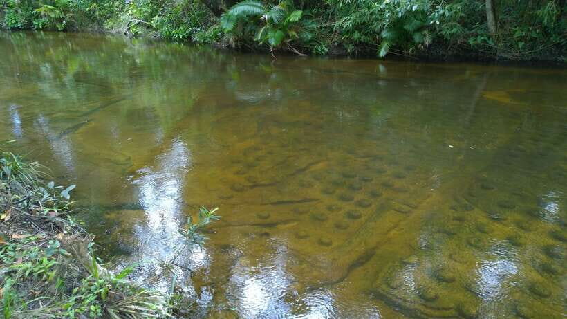 Phnom Kulen National Park Admission Ticket - What to Pack (and What to Skip) for a Smooth Day