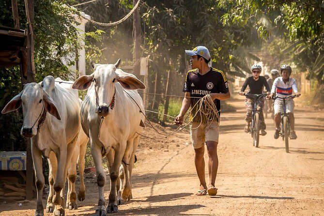Phnom Penh: Cycling Adventure on Islands of the Mekong - Getting Started at Areiksart Ferry Port (7:45am Check-In)