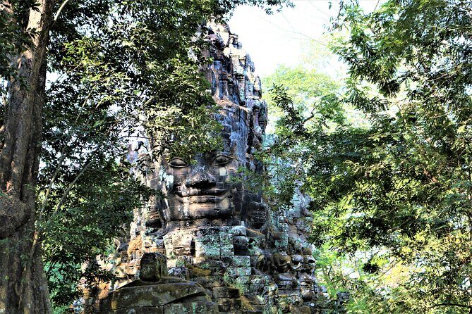 Private Angkor Temples Walking Tour from Siem Reap - Ta Prohm’s jungle ruins: timing, trees, and what to notice