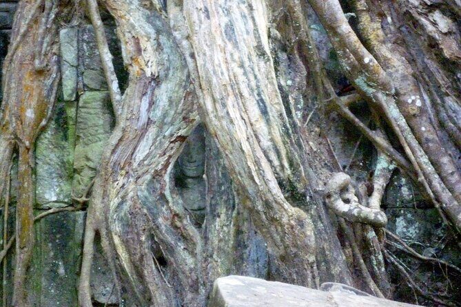 Private Angkor Wat Day Tour - Best of Angkor - Second Stop at Angkor Wat: More Time for Details