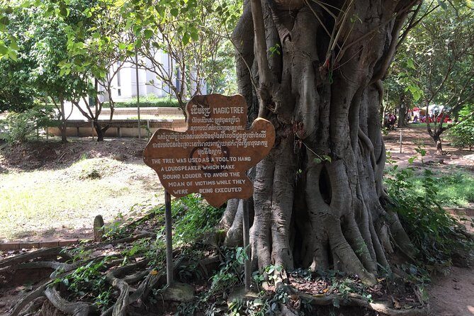 Private Half Day To Killing Field & S21 Genocidal Museum in Phnom Penh - Choeung Ek Killing Fields: Moving From Evidence to Reflection
