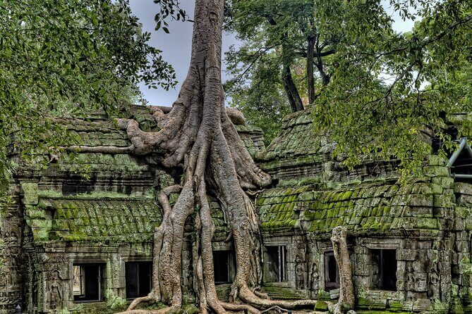 Private sunrise tour to Angkor Wat & other highlights with Professional Guide. - Price and Temple Passes: What You’re Really Paying For