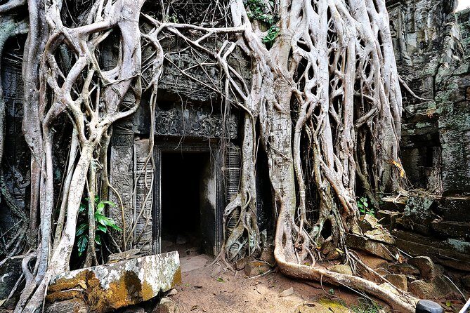 Private Temples Guided Tour (Angkor Wat, Ta Prom & Angkor Thom) - The Sivutha Boulevard breakfast break: Khmer and Western choices