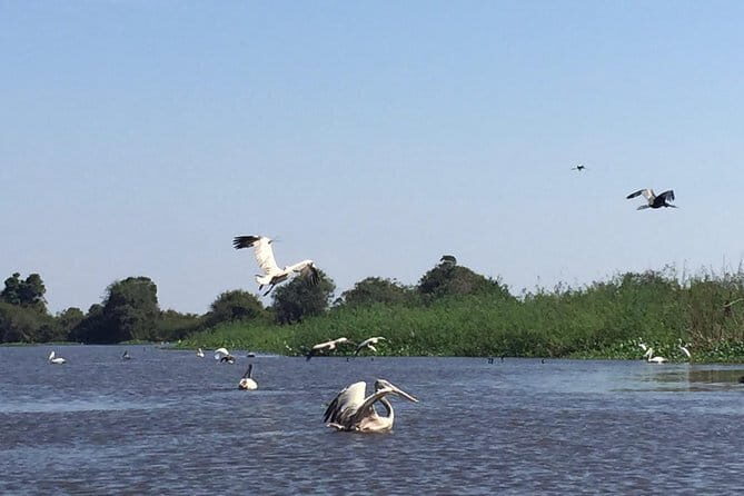 Private Tour Prek Toal Bird Sanctuary Off Beaten Track - Key things to know before you go