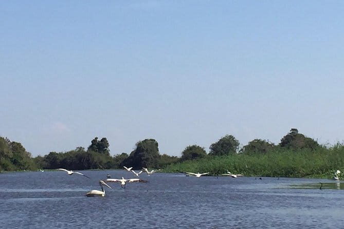 Private Tour Prek Toal Bird Sanctuary Off Beaten Track - Reaching the harbor and taking private boats to Prek Toal