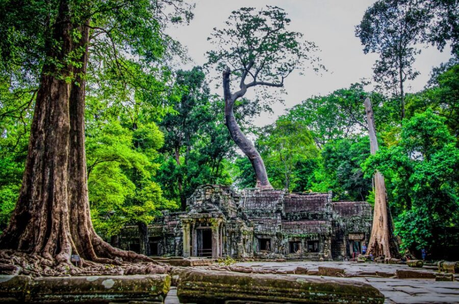Seat-In-Coach: Small Circuit tour with Sunrise at Angkor Wat - Should you book this Angkor Wat sunrise tour?