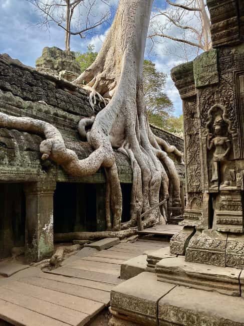 Siem Reap: 1-Day Angkor Tour with French-Speaking Guide - Angkor Thom Highlights: Victory Gate, Royal Terraces, and Bayon’s Faces