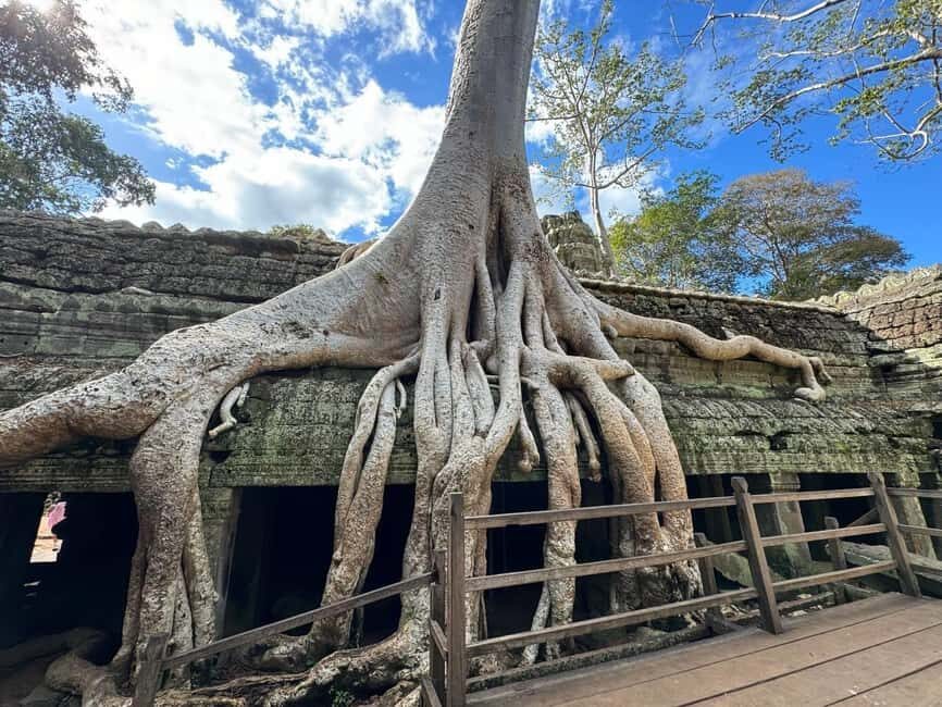 Siem Reap: 1-Day Angkor Wat Group Tour with Spanish Guide - Ta Prohm: the “jungle temple” stop that sets the mood