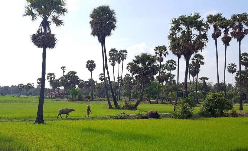 Siem Reap: 6-Hour Easy Rider Motorbike Tour - Key moments that make this Siem Reap Easy Rider tour worth it