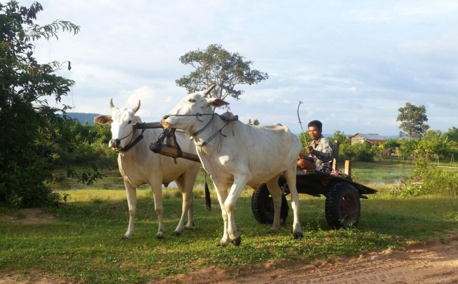 Siem Reap: 6-Hour Easy Rider Motorbike Tour - That old Angkor bridge: a short crossing with a long timeline