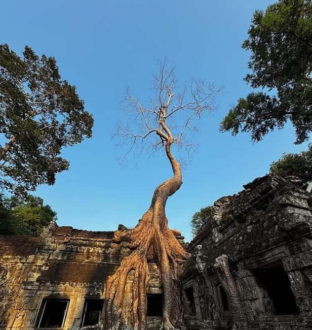 Siem Reap: Angkor 1-Day Private Tour with Sunset or Sunrise - Ta Keo and Victory Gate: fast stops that set the mood