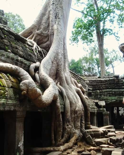 Siem Reap: Angkor 1-Day Private Tour with Sunset or Sunrise - Angkor Thom: the South Gate, Bayon smiles, and the terraces