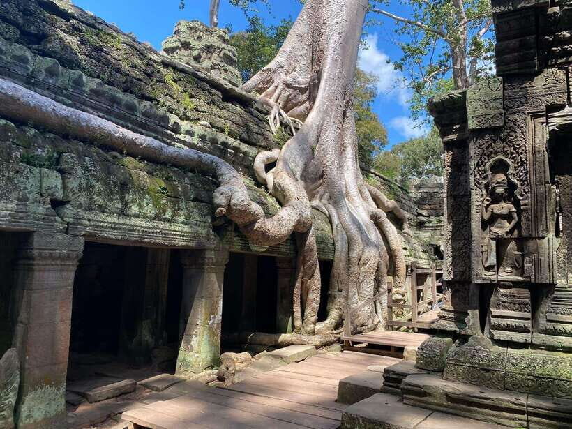 Siem Reap: Angkor Wat Sunrise and Full-Day Sightseeing Tour - Ta Prohm: the jungle temple stop with movie-grade atmosphere