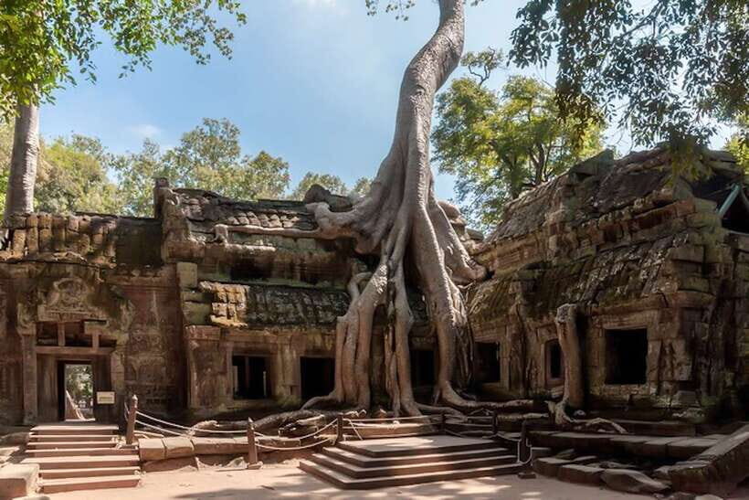 Siem Reap: Angkor Wat Sunrise and Full-Day Sightseeing Tour - Angkor Wat sunrise: what the guided 2 hours really gets you