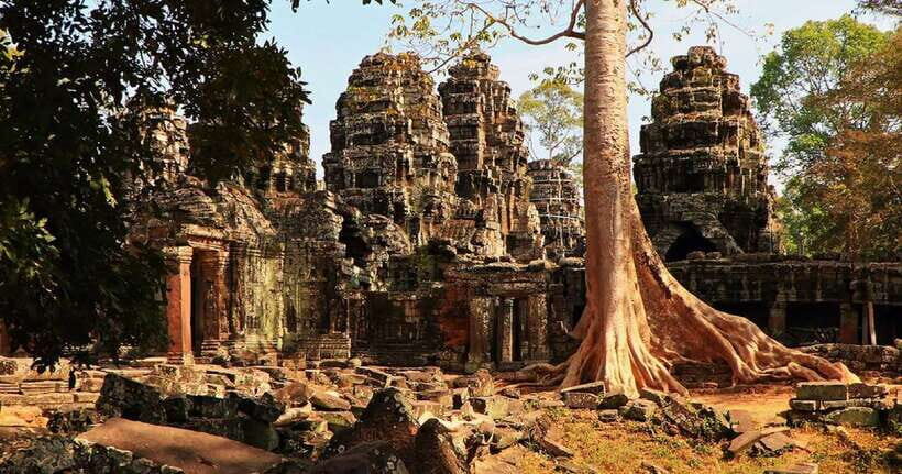 Siem Reap: Angkor Wat Tour Explore The Most Iconic Temples - Ta Prohm: jungle roots and the photo-famous frame