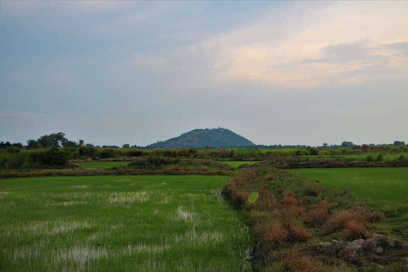 Siem Reap: Countryside Cycle and Local Village Life Tour - Village life stops: what you actually learn when you pause