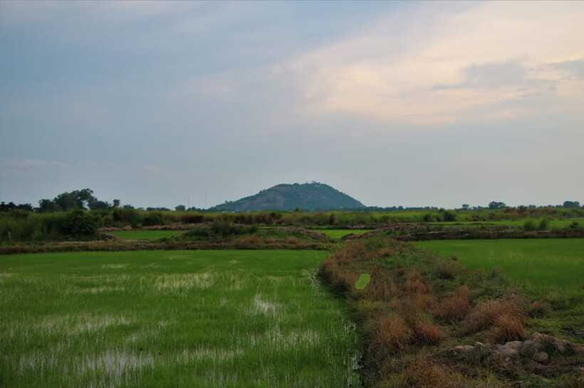 Siem Reap: Countryside Cycle and Local Village Life Tour - Palm wine with a local family: more than a sip