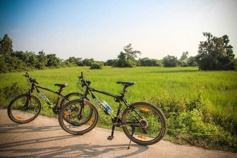 Siem Reap: Countryside Cycle and Local Village Life Tour - Lotus field sunset: the calm finish you came for