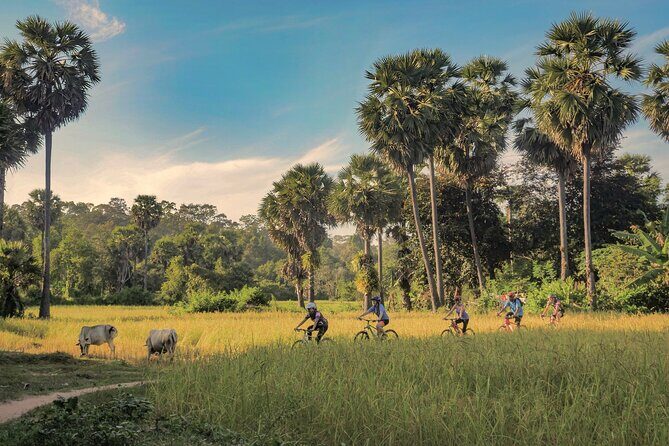 Siem Reap Countryside Guided Tour by Bike and E-Bike Private Tour - Key highlights you’ll actually feel
