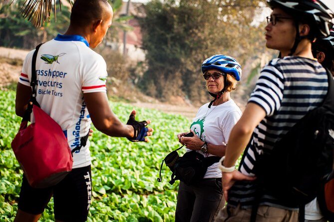 Siem Reap Countryside Guided Tour by Bike and E-Bike Private Tour - Bikes, seat comfort, and the reality of bumpy roads