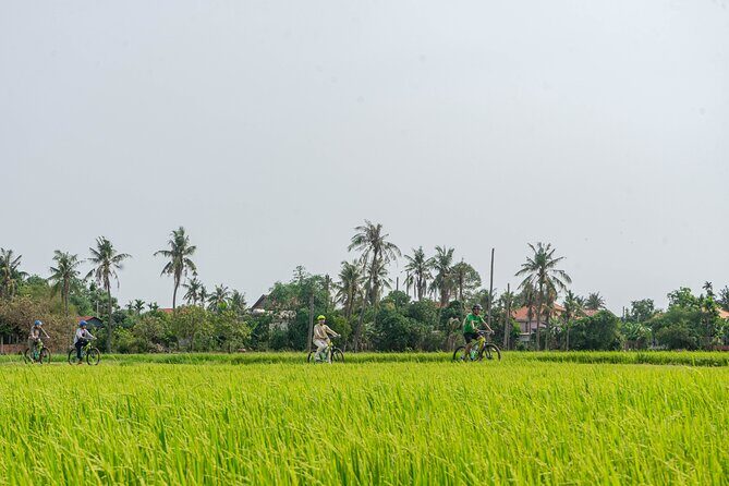 Siem Reap Countryside Sunset Bike Tour / E-Bike or Tuk Tuk - Key highlights: what makes this Siem Reap sunset ride worth your time